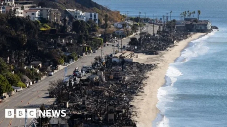 ChatGPT Image Helps Investigators Capture Pacific Palisades Fire Suspect