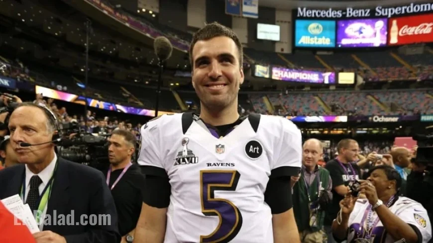 Bengals Considered Multiple QBs Before Signing Joe Flacco