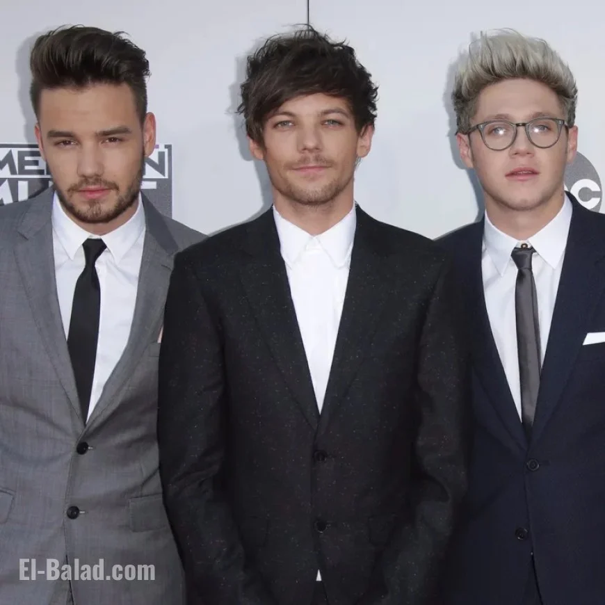 Louis Tomlinson Recalls Niall Horan Sharing Liam Payne’s Death News