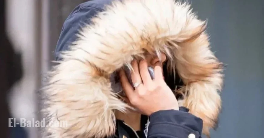 Homeowner Fraudulently Claims £56k in Universal Credit Benefits
