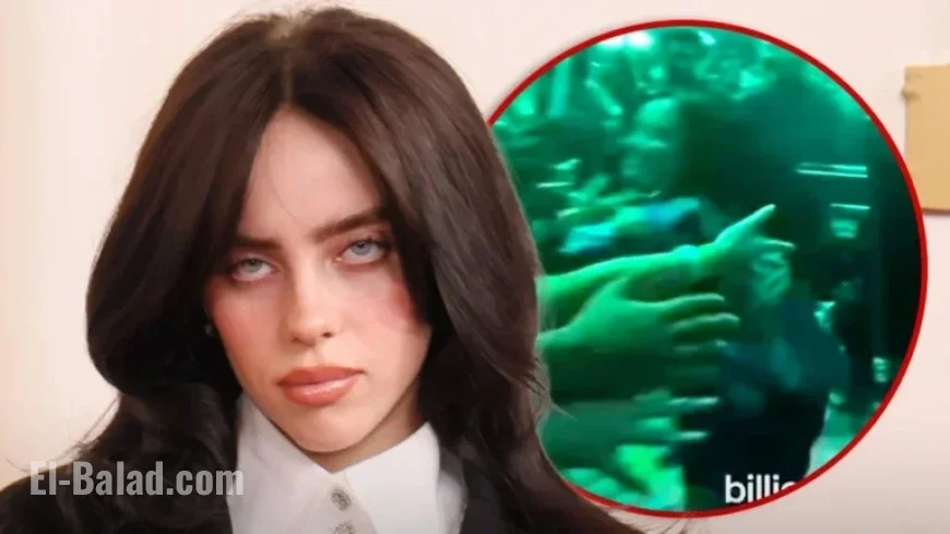 Fan Grabs Billie Eilish at Miami Concert