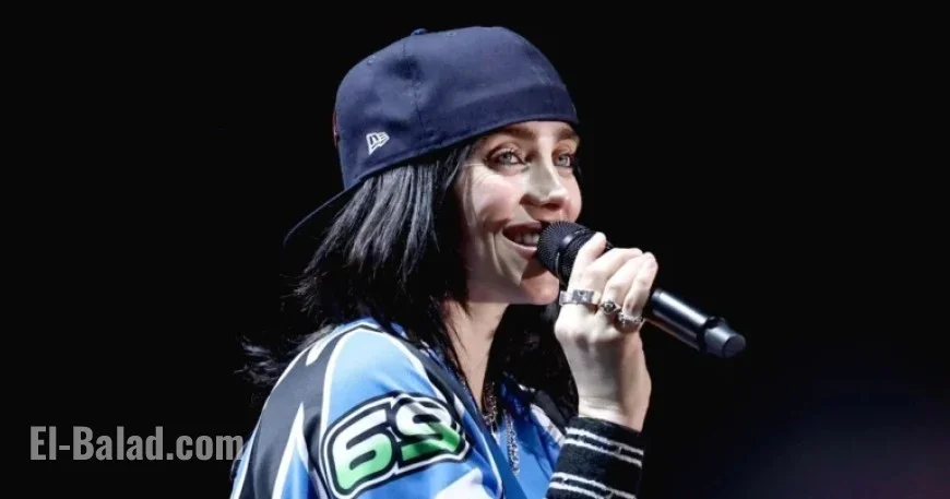 Audience Member Violently Pulls Billie Eilish at Miami Concert
