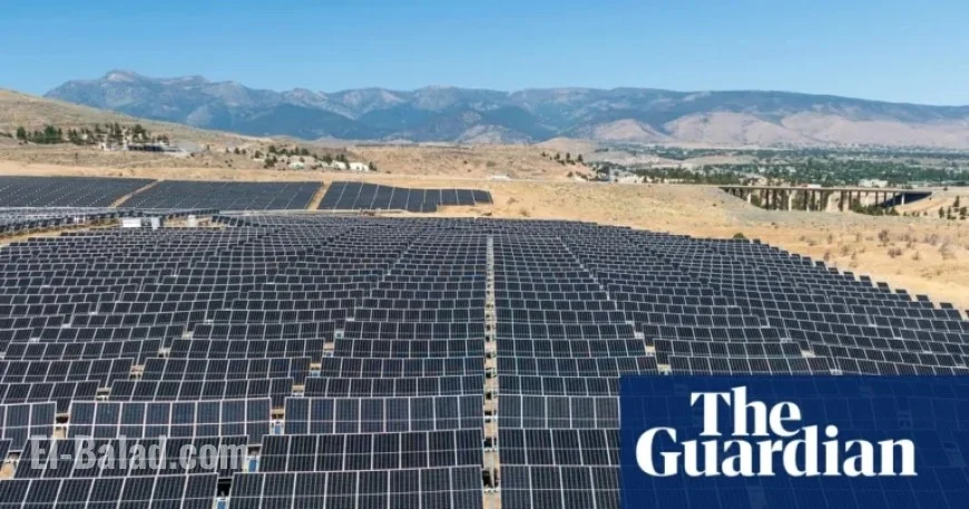 Trump Administration Halts Major Solar Project, Impacting Renewable Energy Progress