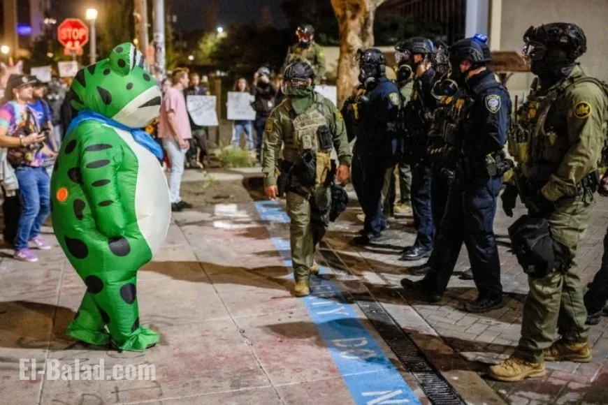 Portland ICE Protest Frog Downplays Pepper Spray Incident by Federal Agents