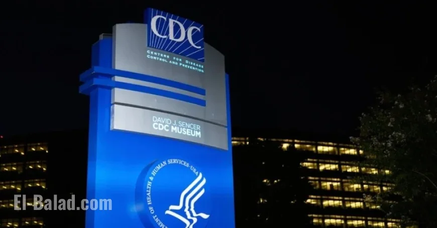 CDC Lays Off Top Measles Experts as Cases Surge