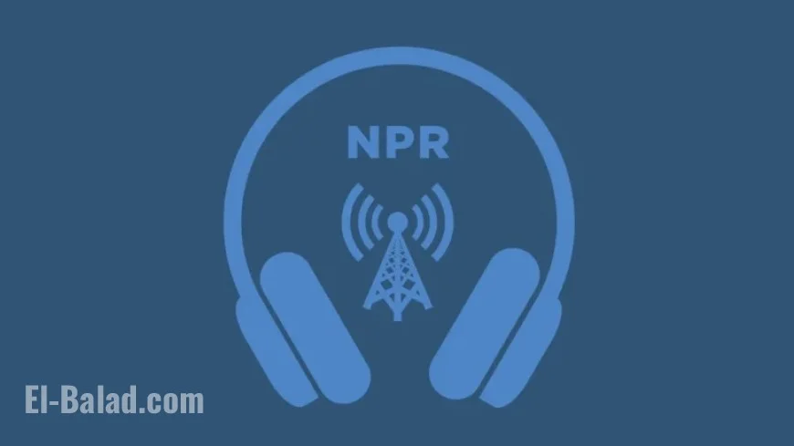 Fans and Critics Slam Taylor Swift’s New Album: NPR Reveals Why