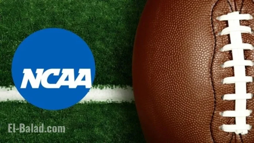 South Carolina vs. LSU: Live Updates, TV Info for Week 7 SEC Showdown