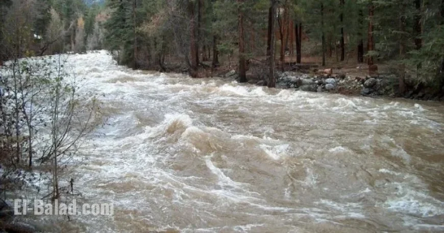 Colorado Orders Evacuation as Vallecito Creek Levee Breaches