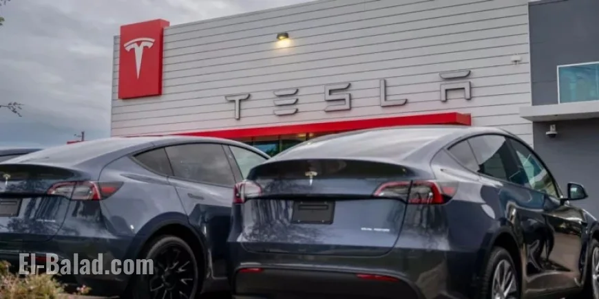 Tesla Shares Drop Amid Mixed Reviews of New EV Models