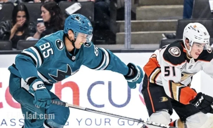 Canucks’ Elias Petterssons Echo NHL’s Greg Adams Dilemma