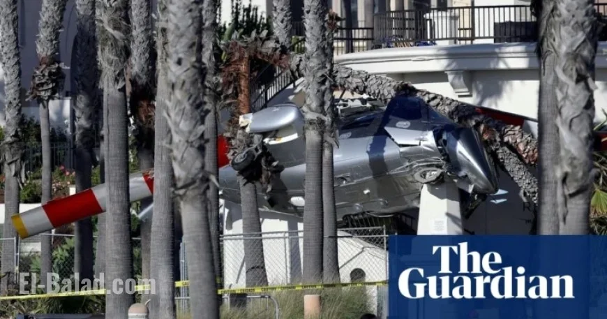 Helicopter Crashes into Palm Trees at Busy California Beach