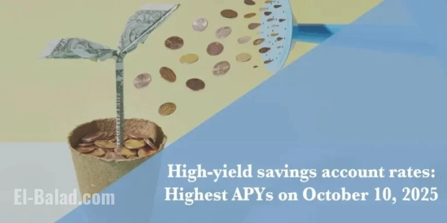 Top High-Yield Savings Accounts Offer Up to 5.00% APY Today