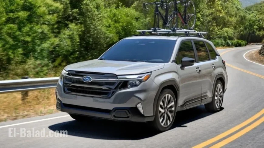Top 5 New SUVs of 2025, Ranked by Consumer Reports