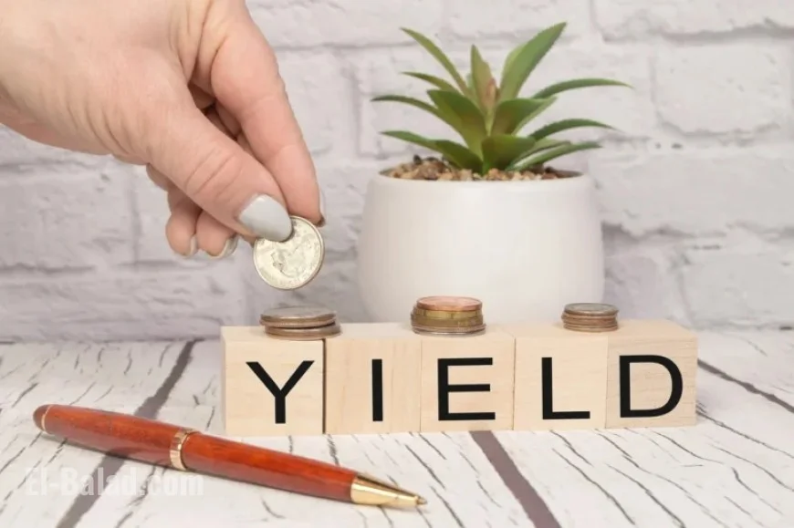 Top Dividend Stocks to Invest $10,000 in Today