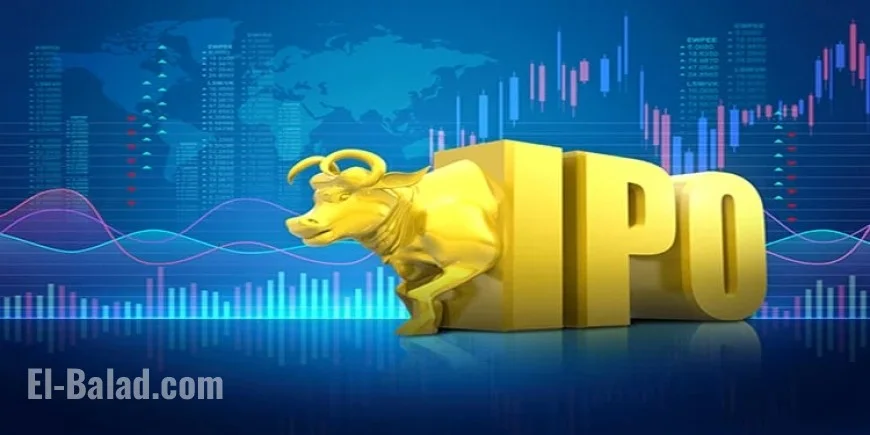 Goldman Sachs Selects Top Pick Among Two New IPO Stocks