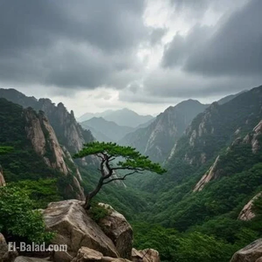하루 종일 비 이어져…산행 시 주의 필요)))” config=”eyJtb2RlIjoiY2hhdCIsIm1vZGVsIjoiZ3B0LTRvIiwibWVzc2FnZXMiOlt7InJvbGUiOiJ1c2VyIiwiY29udGVudCI6IllvdSBhcmUgYSBwcm9mZXNzaW9uYWwgaGVhZGxpbmUgZWRpdG9yIGZvciBFbC1CYWxhZC5jb20uXG5Zb3VyIHRhc2sgaXMgdG8gcmV3cml0ZSB0aGUgZ2l2ZW4gbmV3cyB0aXRsZSB0byBtYWtlIGl0IG1vcmUgcHJvZmVzc2lvbmFsLCBlbmdhZ2luZywgYW5kIFNFTy1mcmllbmRseSwgd2hpbGUga2VlcGluZyB0aGUgb3JpZ2luYWwgbWVhbmluZy5cblxuUnVsZXM6XG5cbi0gS2VlcCB0aGUgdGl0bGUgc2hvcnQsIGNsZWFyLCBhbmQgcG93ZXJmdWwgKG1heCAxMiB3b3JkcykuXG4tIE1haW50Y