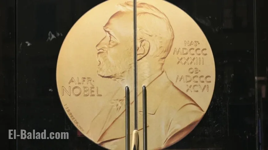 AI or Wealth Gap: Nobel Economics Prize Concludes 2025 Season