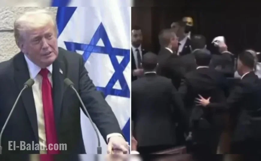 Trump Praises ‘Efficient’ Removal of Protester from Israel Parliament