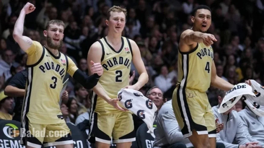 Men’s AP Top 25: Key Insights on Each Team