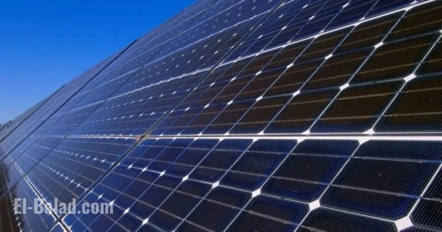 Brooklyn Nor’easter Tragedy: Solar Panel Kills Elderly Woman