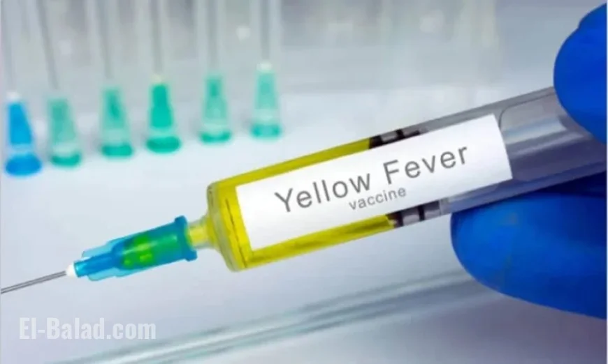 Costa Rica Confirms First Yellow Fever Case in Seven Decades