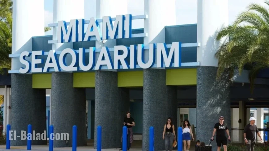 Miami Seaquarium Closes Amidst Controversy and Cherished Memories