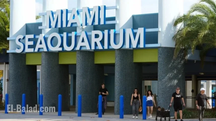 Miami Seaquarium Closes Amid Longstanding Animal Welfare Concerns