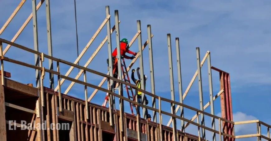 Trump Imposes Tariffs on Imported Lumber and Furniture