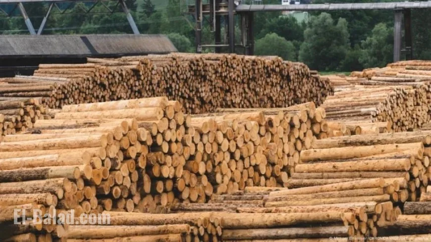 Trump Implements Tariffs on Timber and Furniture Imports