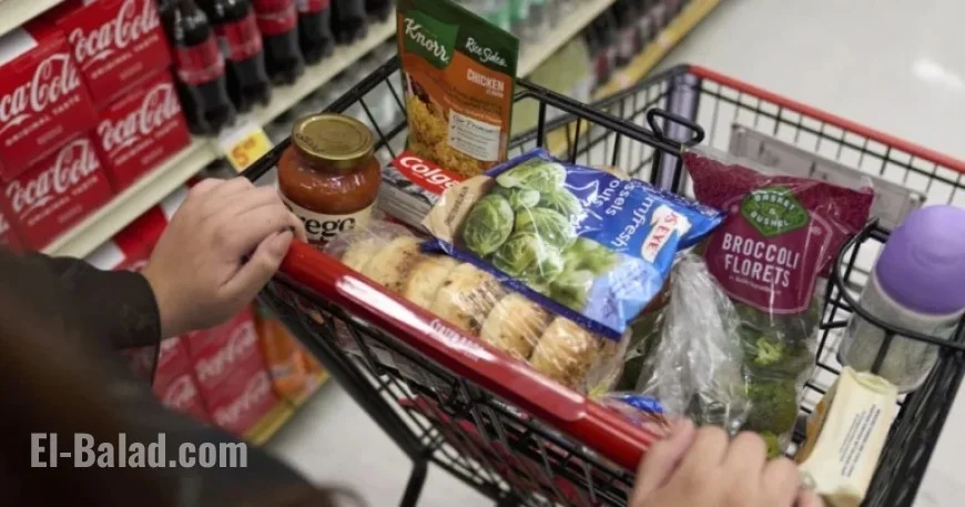 GoFundMe CEO Highlights Growing Demand for Help with Essentials like Groceries, Rent