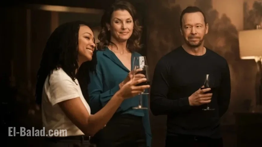 Blue Bloods Spinoff Retains Original Formula