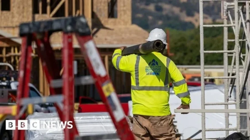 Trump Implements Tariffs on Kitchen Cabinets and Timber
