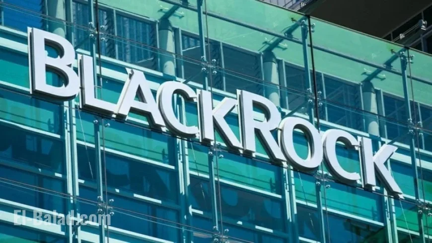 BlackRock Secures Buy Point, Revenue Rebounds Ending Losing Streak