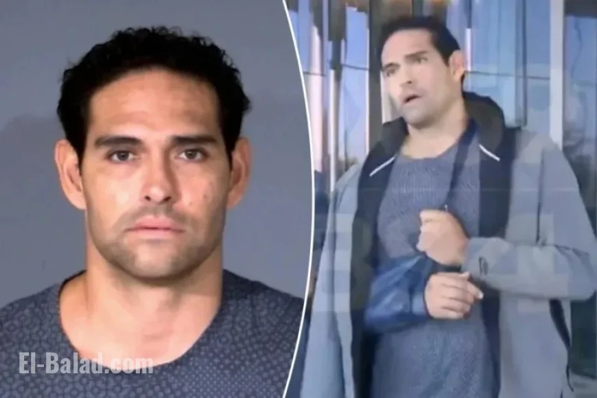Judge Steps Down from Mark Sanchez Stabbing Case
