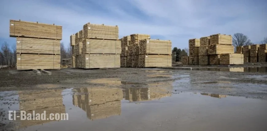 Higher Tariffs on Canadian Lumber May Fail to Boost US Forestry Investments