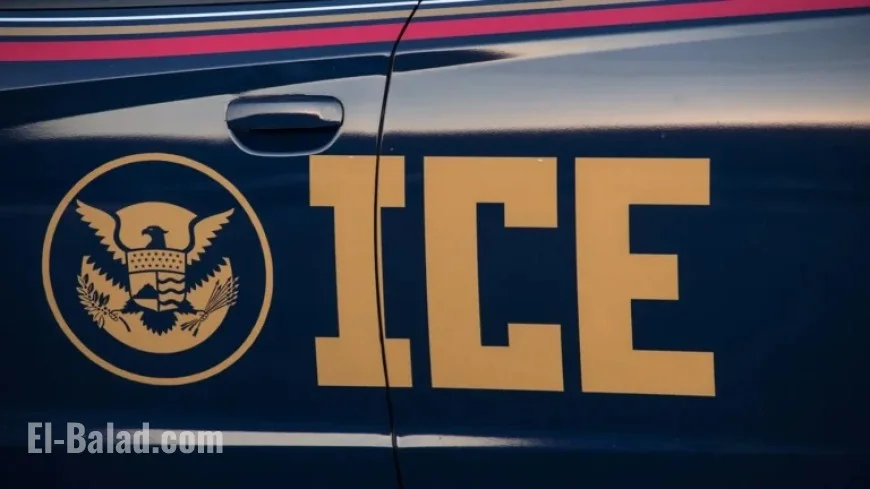 ICE Advertisements Dominate Popular Streaming Platforms