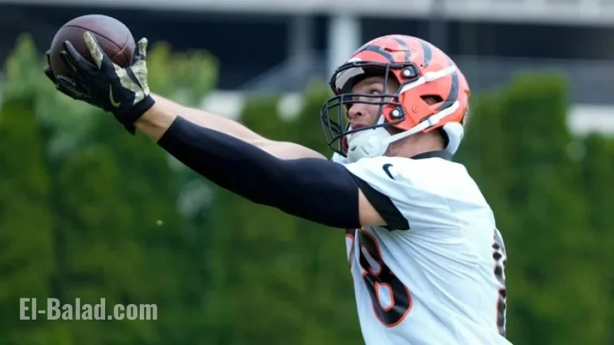 Bengals Place Key Starter on Injured Reserve, Anticipate Further Roster Changes