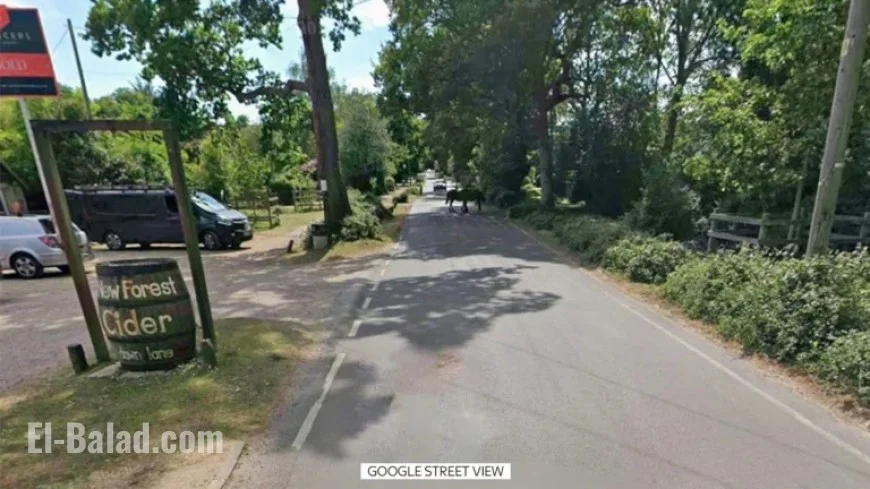 Couple Discovered Dead in Camper After New Forest Cider Festival