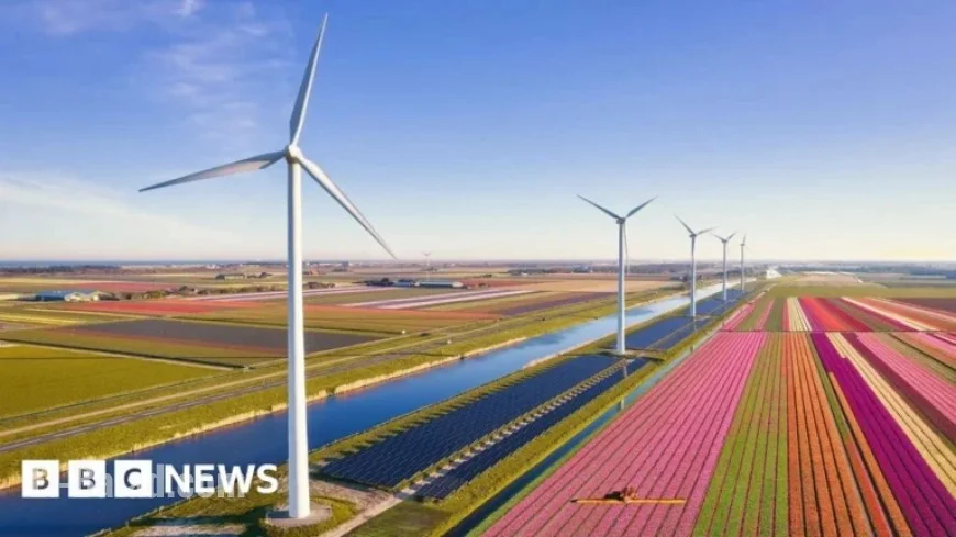 Netherlands’ Renewable Energy Surge Strains Power Grid