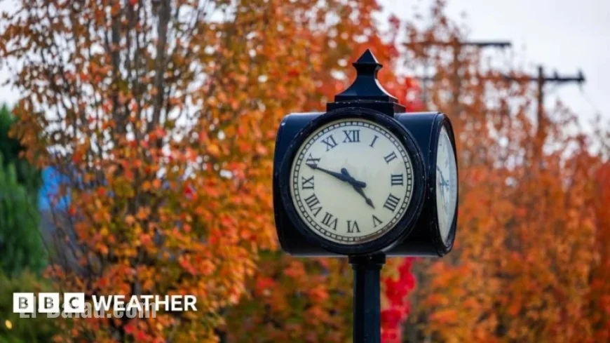 2025 Daylight Saving Time: When Do Clocks Fall Back?