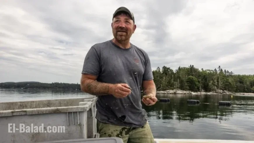Maine Senate Hopeful’s Deleted Posts Reveal Candid Views on Politics and War