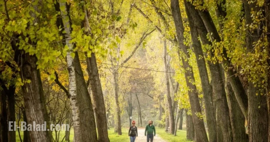Budapest Weekend Events: Your Guide for October 17-19