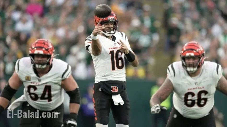 Bengals Considered Many QBs Before Signing Joe Flacco