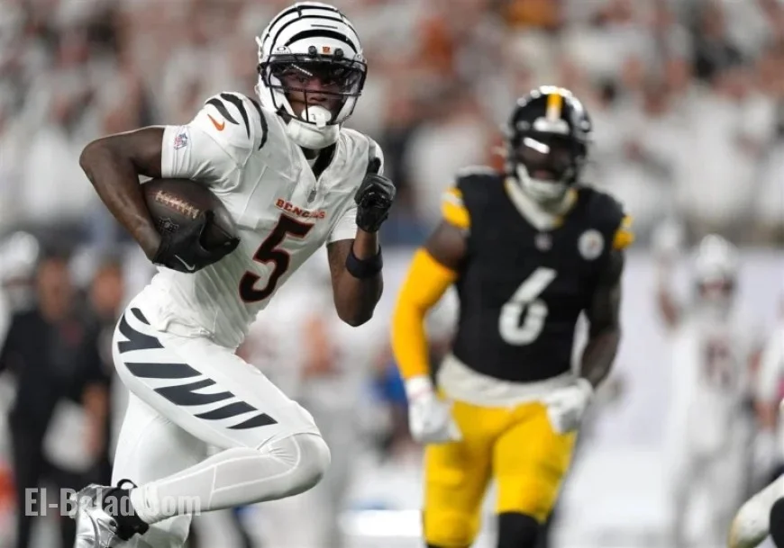 Gerry Dulac’s Quarterly Analysis: Steelers vs. Bengals Matchup