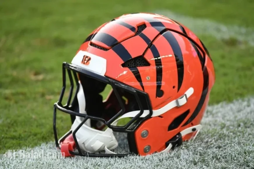 Bengals Identified 13 QB Targets Before Securing Joe Flacco Trade