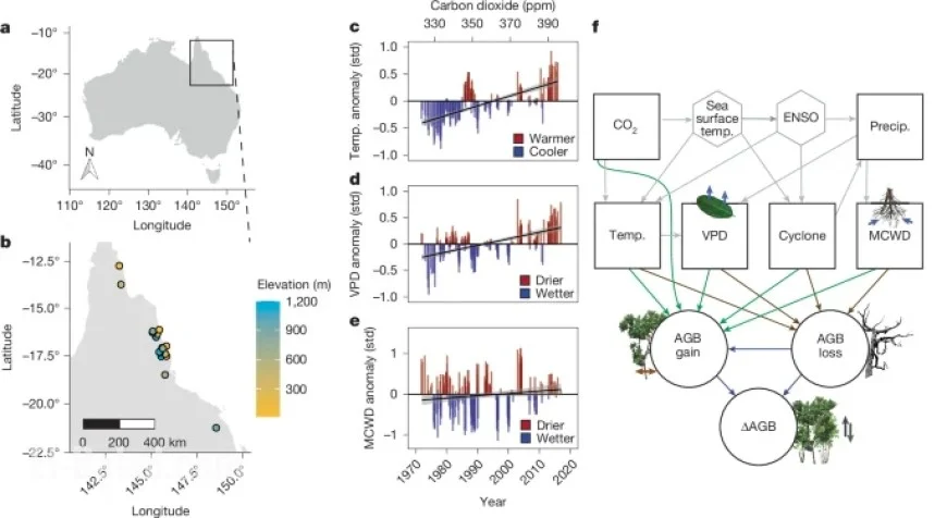 Australian Tropical Forests Now Emit More Carbon Than They Absorb