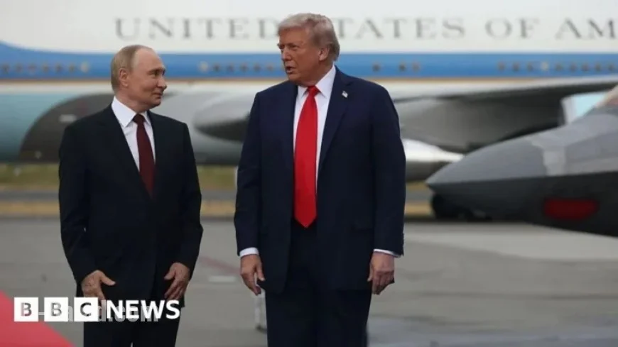Zelensky Faces Unexpected Twist as Putin, Trump Converse Pre-White House Summit