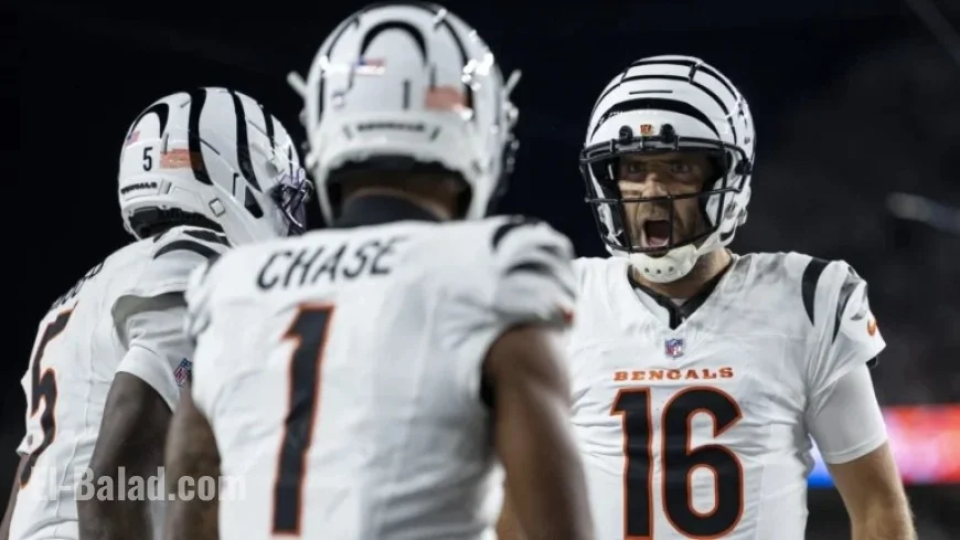 Joe Flacco Praises Ja’Marr Chase, Tee Higgins for Challenging Defenses