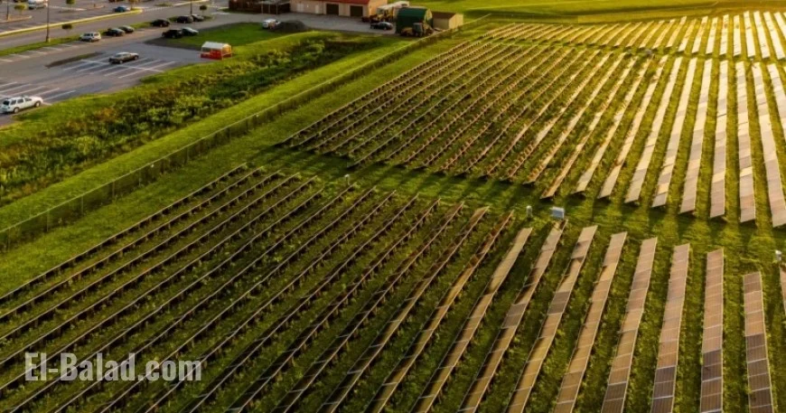 Over 20 States Sue EPA for Canceling Solar Power Grants