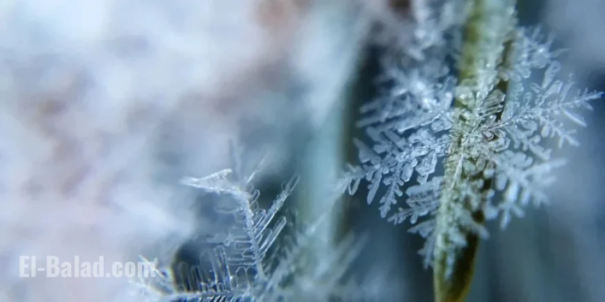 Met Office Reviews ‘Brutal’ Cold Snap and ‘Barrage of Snow’ Claims